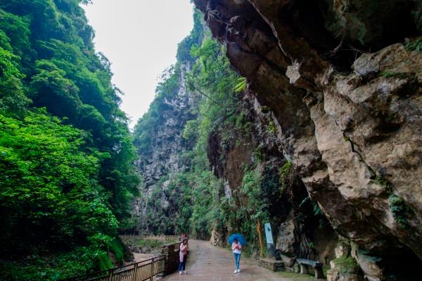 郑大三附院儿科开设11个特色门诊